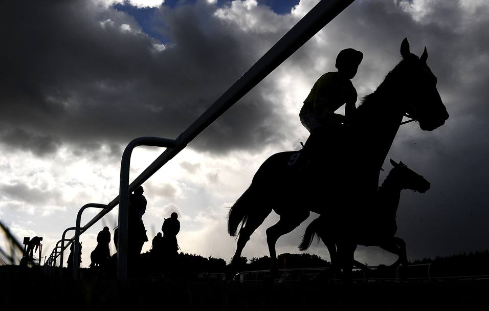 Cavalli al galoppo sul tracciato ovale di Exeter, Regno Unito (Getty Images)